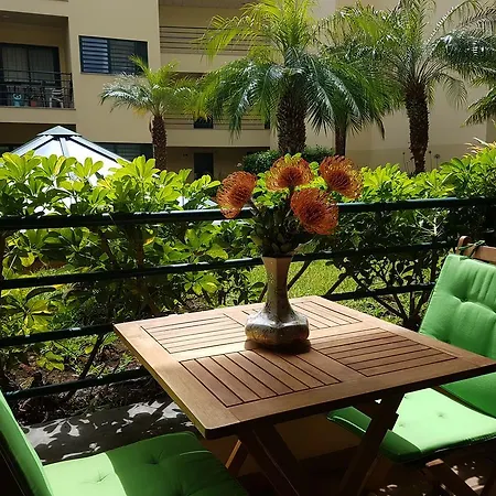 Apartment Anadia Funchal (Madeira)